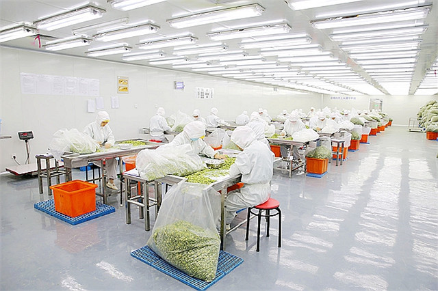 西安凈化工程是什么？施工過程中要注意什么？